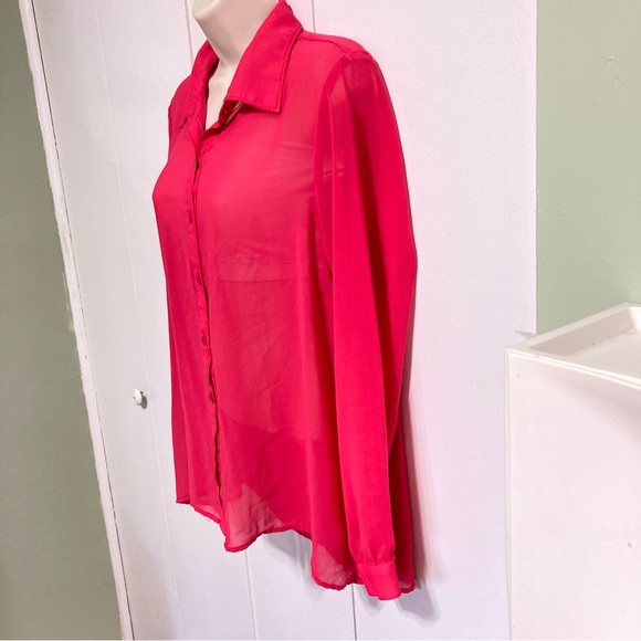 Freebird Button Down Semi Sheer Pink Salamander Blouse Top Women's Large - Picture 4 of 12